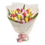 35 разноцветных тюльпанов