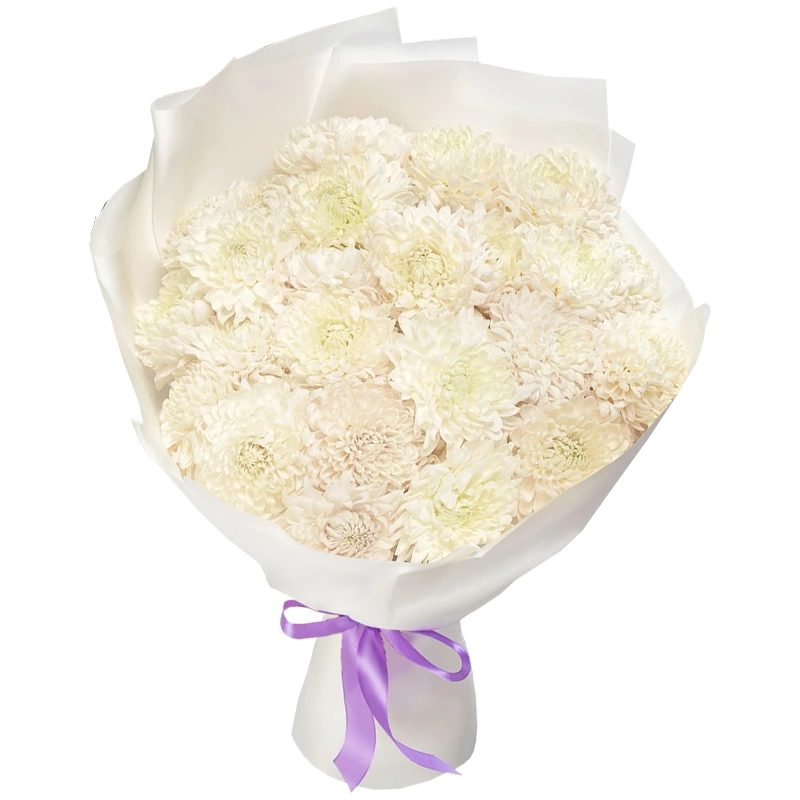 Букет из 25 белых одноголовых хризантем